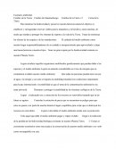 Cumbre de la Tierra, Cumbre de Johannesburgo,Cumbre de la Tierra +5