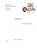 Identificación del Problema.