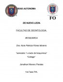 Semestre 1 a lado de bioquimica