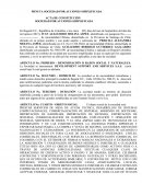 Acta de Constitución de Development Support and Services S.A.S