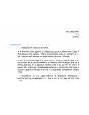 INTRODUCCIÓN ACERCA DE MI FAMILIA.