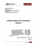 ESPERAMOS UN USO MASIVO DE MENSAJES POR MEDIOS INALAMBRICOS