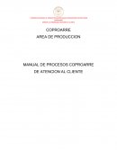 MANUAL DE PROCESOS CORRECCIÓN