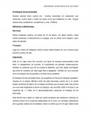 Discurdso sobre el triangulo de las bermudas