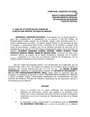 EMMANUEL ANDRADE GAYOSSO VS ROCIO FLORES RODRIGUEZ PROCEDIMIENTO ESPECIAL