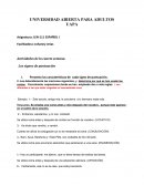 Actividades de la cuarta semana. Los signos de puntuación