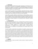 Informe Final Crisis Española.