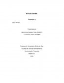 MICROECONOMIA. ADMINISTRACIÓN FINANCIERA