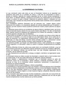 LA DIVERSIDAD CULTURAL es igual al diálogo y valores compartibles