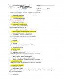 Resumen de Neuroanatomia.