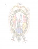 CASO NEGOCIOS INCORPORADOS S. A.