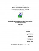 Proyecto , proceso de obtención de la carne en el frigorífico industrial fricasa