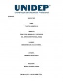 DERECHO ECOLÓGICO POLITICA AMBIENTAL