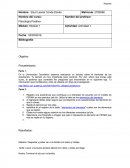 Actividad Psicología positiva. Elementos del bienestar