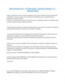 Microeconomía II - El Monopolio: Ejercicio práctico