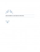 ANALISIS SOBRE EL CASO RUBI EN CHIHUAHUA