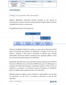 Trabajo: Caso práctico sobre formación