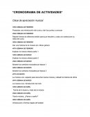 INFORMES: CRONOGRAMA DE ACTIVIDADES.