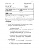 Identificar la estructura organizacional y la cultura de una empresa