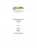 SEMANA 1 Técnicas de programación