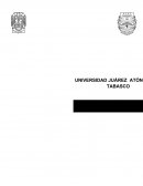 MELODY: significa melodía tiene relación con la música