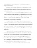 ESPACIOS PUBLICOS Y RELACIONES SOCIALES TRANSFORMADOS POR LAS NUEVAS TECNOLOGIAS