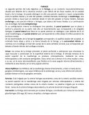 La segunda porción del tubo digestivo es la faringe