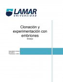 Clonación y experimentación con embriones