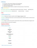 Política y responsabilidad ciudadana intro
