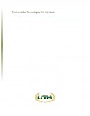 Estudio de posicionamiento de la Marca Lipton