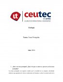 ¿Qué es un área protegida? ¿Qué es lo que se conserva y preserva en las áreas protegidas?