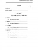 Organizacion administrativa. LA EMPRESA Y SU CONTEXTO