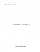 ESTUDIO DEL PÉNDULO SIMPLE