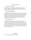 Concepto de motivación. Motivación según Chiavenato
