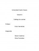 Tarea # 2 Catálogo de cuentas