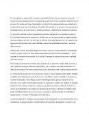 Los elementos conceptuales básicos de un proyecto.