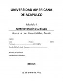 Ensayo - Convertibilidad y Tequila