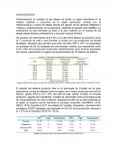 Históricamente, el cuidado de las abejas ha tenido un papel importante en la historia