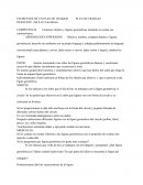 ELEMENTOS DE UN PLAN DE TRABAJO.