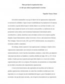 Dime qué tipo de organización tienes y te diré que cultura organizacional te conviene