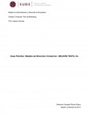 Caso Práctico: Modelo de Dirección Comercial - SELDON TEXTIL S.L