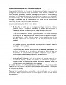 Protección Internacional de la Propiedad Intelectual.