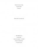 Enfermería Software libre en servidores web