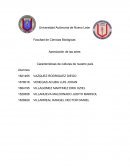 Características de culturas de nuestro país