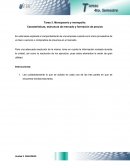 Tarea 3. Monopsonio y monopolio: Características, estructura de mercado y formación de precios