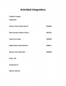 Actividad integradora, Trabajo en equipo