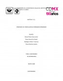 Cuestionario de quemaduras