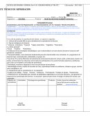 Lineamientos para la Organización y el funcionamiento de los Consejos Técnicos Escolares