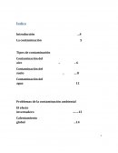 Investigacion La contaminación