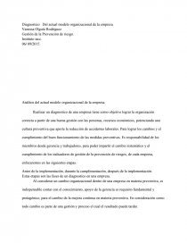 Diagnostico del actual modelo organizacional de una empresa.. Página 1
